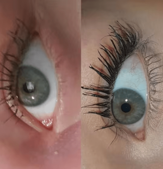 Beauticil Lash Perfection